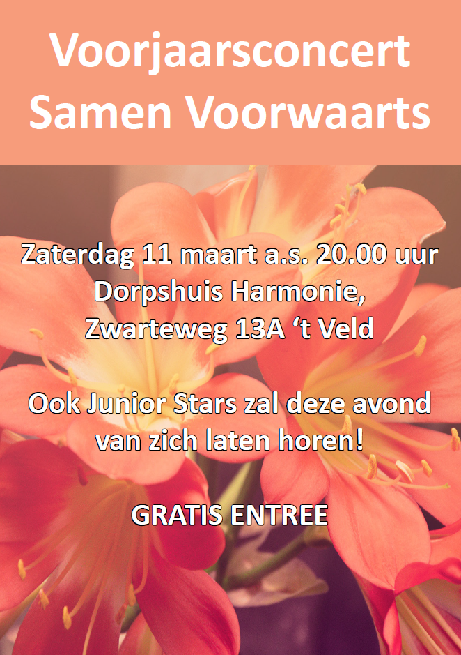 Voorjaarsconcert 11 maart 2017