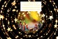 Junior Stars 17 december 2017