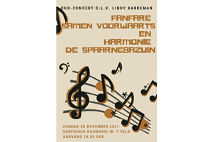 Duo concert op 28 november 2021 in Dorpshuis Harmonie