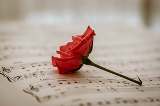 sheet-music-gf0e8a1a4c_1920